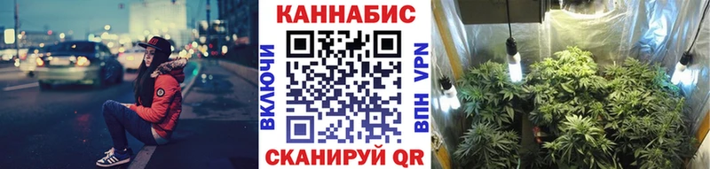 Бошки Шишки конопля  darknet официальный сайт  Талица  ссылка на мегу как зайти 